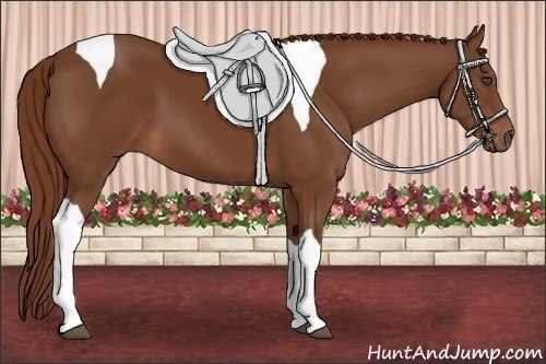 Horse Color:Chestnut Tobiano