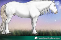 Horse Color:Liver Chestnut Ice Pearl Sabino Appaloosa 