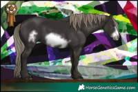 Horse Color:Liver Chestnut Mushroom Frame 