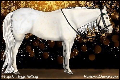 Horse Color:Palomino Appaloosa 