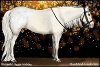 Horse Color:Palomino Appaloosa