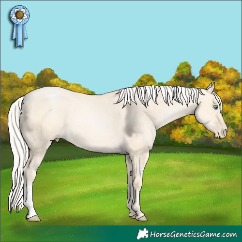 Horse Color:Silver Smoky Grullo Pearl 