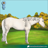 Horse Color:Silver Smoky Grullo Pearl 