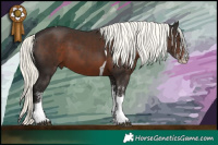 Horse Color:White Spotted Liver Chestnut Mushroom Tobiano