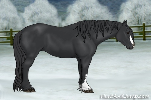 Horse Color:Black Frame 