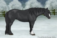 Horse Color:Black Frame 