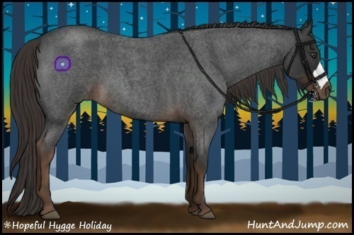 Horse Color:Liver Red Roan