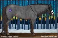 Horse Color:Liver Red Roan 