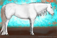 Horse Color:Red Dun Varnish 