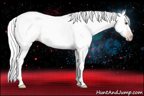 Horse Color:Gray Classic Champagne Roan Splash 