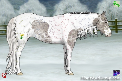 Horse Color:Silver Smoky Black Ice Sabino Tobiano 