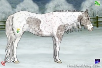 Horse Color:Silver Smoky Black Ice Sabino Tobiano