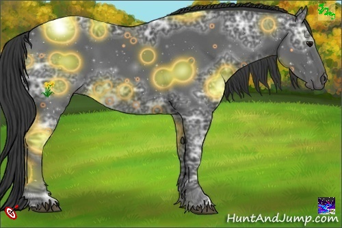 Horse Color:Smoky Black Ice 