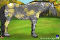 Horse Color:Smoky Black Ice 