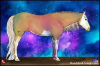 Horse Color:Palomino Splash