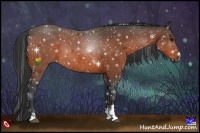 Horse Color:Bay Sabino 