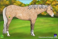 Horse Color:Silver Buckskin Ice Sabino 