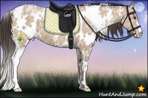 Horse Color:White Spotted Classic Champagne Ice