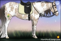 Horse Color:White Spotted Classic Champagne Ice 