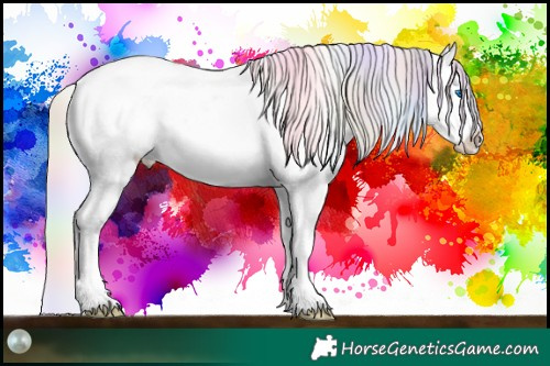 Horse Color:Nacre Silver Amber Champagne Roan Dun Splash Tobiano Varnish Rabicano