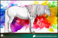 Horse Color:Nacre Silver Amber Champagne Roan Dun Splash Tobiano Varnish Rabicano