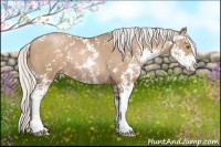 Horse Color:Silver Black Pearl Sabino