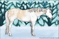 Horse Color:White Spotted Silver Amber Champagne Ice Sabino Splash 