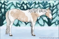 Horse Color:White Spotted Silver Black Ice Pearl Splash Tobiano