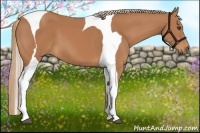 Horse Color:Chestnut Tobiano