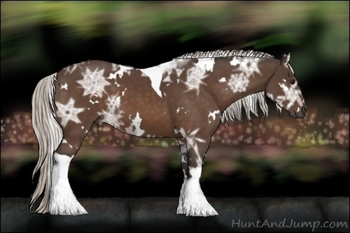 Horse Color:White Spotted Silver Bay Ice Tobiano 