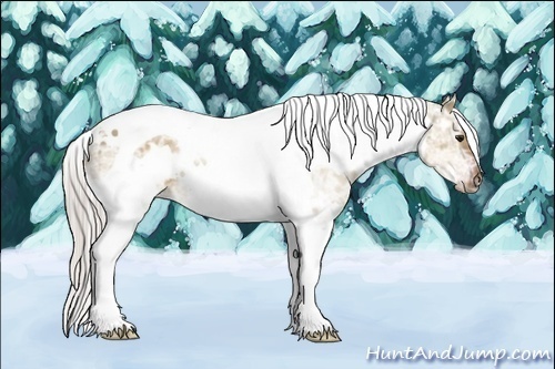 Horse Color:White Spotted Silver Bay Ice Dun Tobiano 