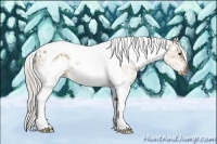 Horse Color:White Spotted Silver Bay Ice Dun Tobiano 