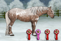 Horse Color:White Spotted Silver Black Ice