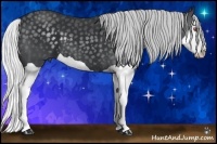 Horse Color:Silver Black Chinchilla Splash 