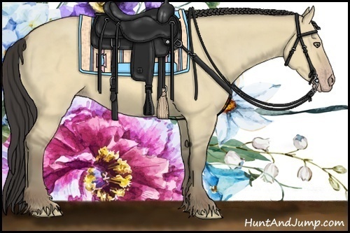 Horse Color:Sable Cream Champagne Dun 