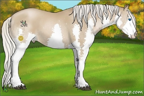Horse Color:Silver Black Pearl Splash