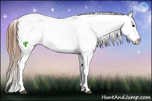 Horse Color:Chestnut Blanket