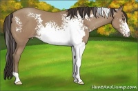 Horse Color:White Spotted Classic Champagne Frame