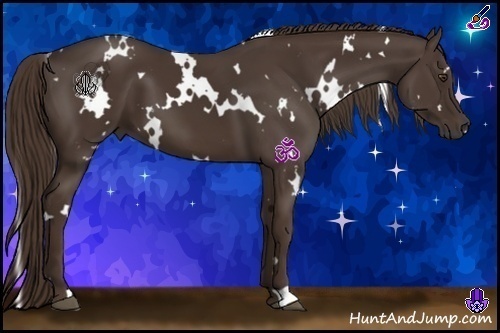 Horse Color:White Spotted Liver Chestnut