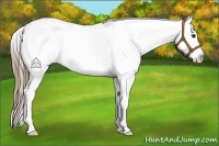 Horse Color:Smoky Black Splash Varnish Rabicano