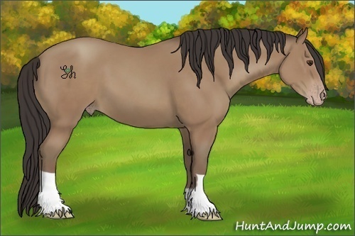 Horse Color:Classic Champagne 