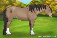 Horse Color:Classic Champagne