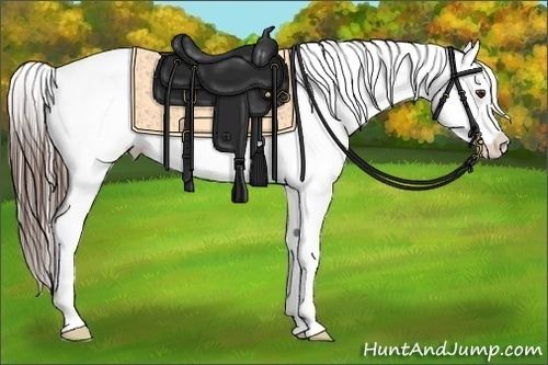 Horse Color:Liver Chestnut Splash Tobiano Snowcap 
