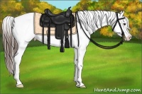 Horse Color:Liver Chestnut Splash Tobiano Appaloosa