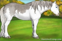 Horse Color:Silver Blue Roan Splash