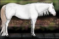 Horse Color:Red Roan Snowcap