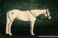Horse Color:Gold Champagne Dun Tobiano 