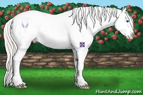 Horse Color:Silver Brown Roan Sabino Splash Frame Blanket Rabicano