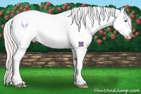 Horse Color:Silver Brown Roan Sabino Splash Frame Blanket Rabicano 
