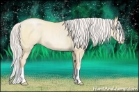 Horse Color:Silver Buckskin Pearl Dun Sabino Splash 